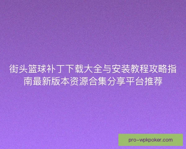 街头篮球补丁下载大全与安装教程攻略指南最新版本资源合集分享平台推荐