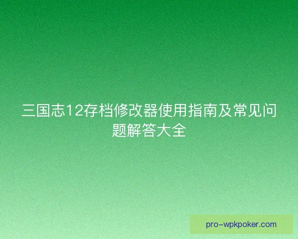 三国志12存档修改器使用指南及常见问题解答大全 三国志12存档修改器使用指南及常见问题解答大全